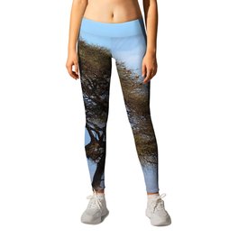 South Africa Photography - Dry Acacia Tree In The Savannah Leggings