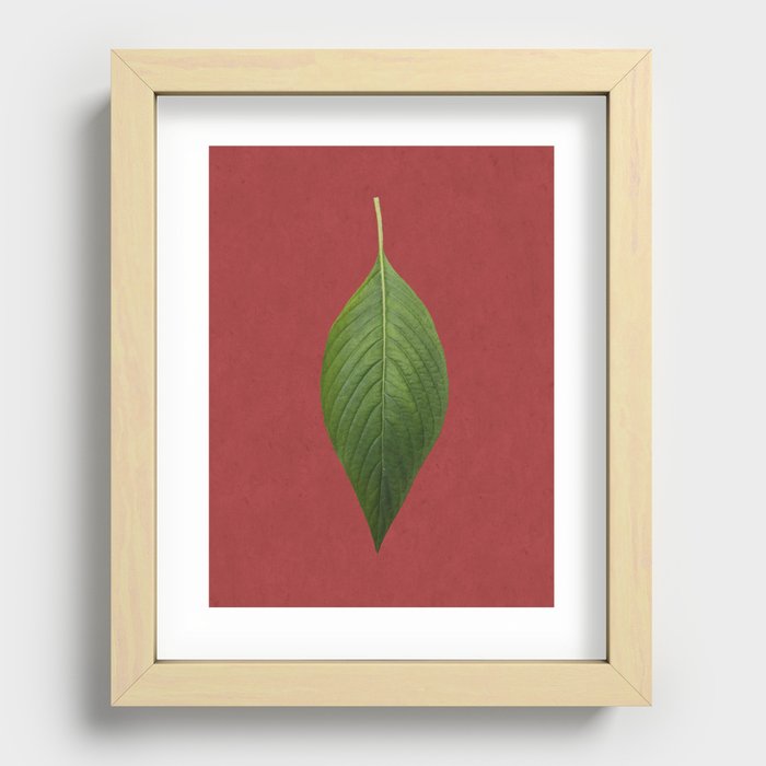 Green Leaf 01 Recessed Framed Print