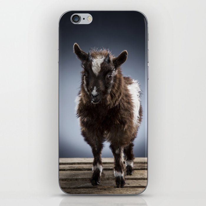 Baby goat iPhone Skin