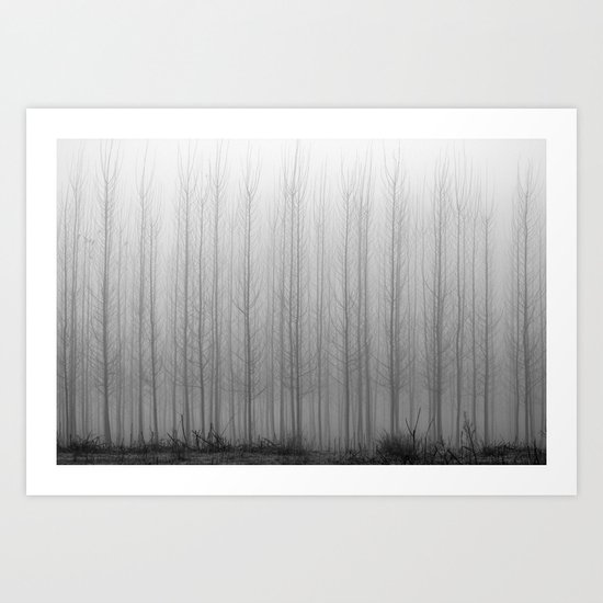 "Rectilineorum". Bw Art Print