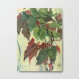 Begonia Maculata Floral Painting Home Plant Leaves Metal Print | Botanical, Expressionism, Painting, Realism, Acrylic, Spotted, Begonia, Contemporary, Modern, Window 