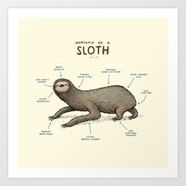 Anatomy of a Sloth Art Print