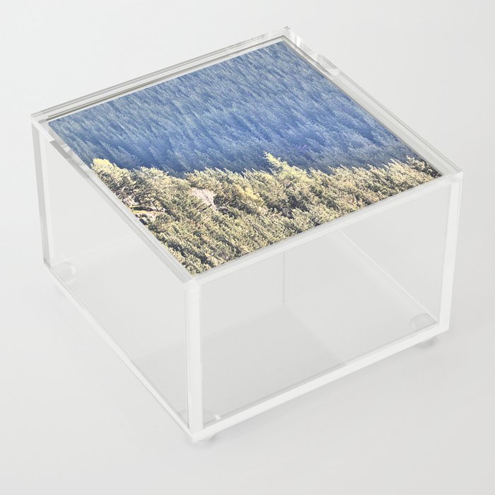 Scottish Highlands Spring Pine Tree Sunlight Effect in I Art. Acrylic Box