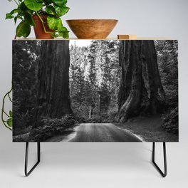 Twin giant redwoods / sequoias Pacific Coast California nature black and white landscape photograph / photography Credenza