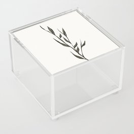 Leaf Acrylic Box