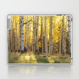 Aspen trees in Autumn ,Coconino National Forest, Arizona, USA Laptop Skin