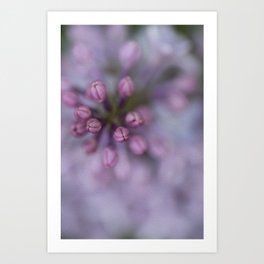 Lilacs Art Print