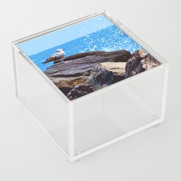 Montauk Seagull Acrylic Box