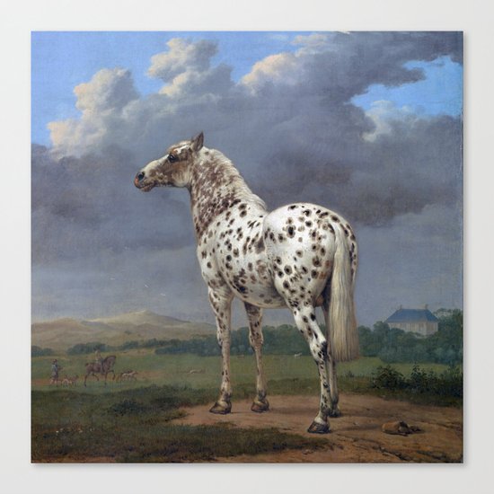 The horse blanc noir Canvas Print