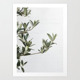 Green Olive Tree Leaves Photo | Botanical Spain Art Print Tenerife Island Nature Travel Photography Art Print