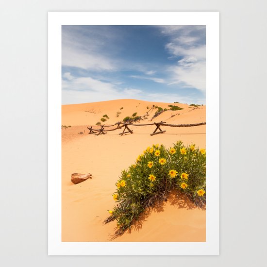 Coral Pink Sand Dunes Art Print
