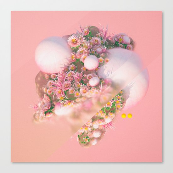 FOLWRS (everyday 09.12.16) Canvas Print