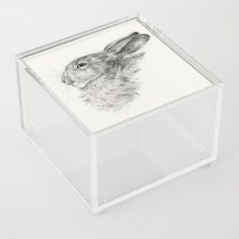 Head of a rabbit (1821) Acrylic Box