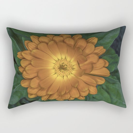 Orange Flower Rectangular Pillow