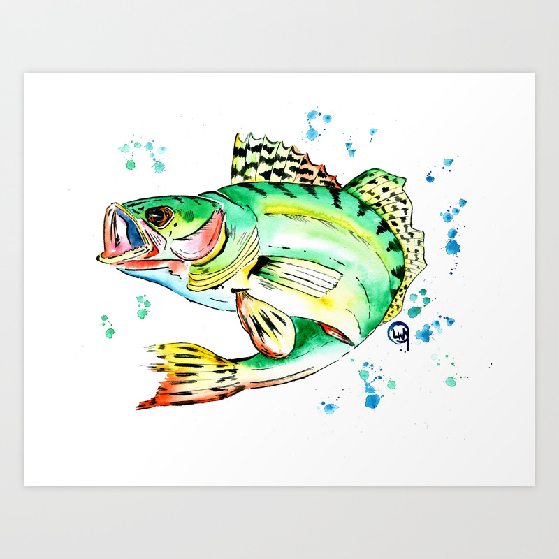 Sauger Watercolor Fish Painting Art Print By Whitehouseart Society6