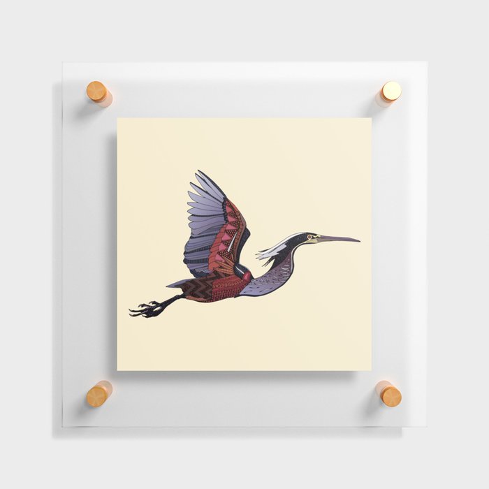 Agami heron parchment Floating Acrylic Print