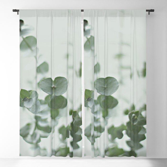 Blackout Curtain