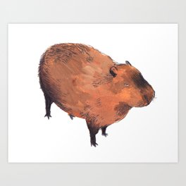 Capybara  Art Print