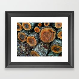 Wood Logs Framed Art Print