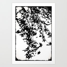 Tree photography - minimal tree - black and white - silhouette - elegant tree -  nature photography Art Print