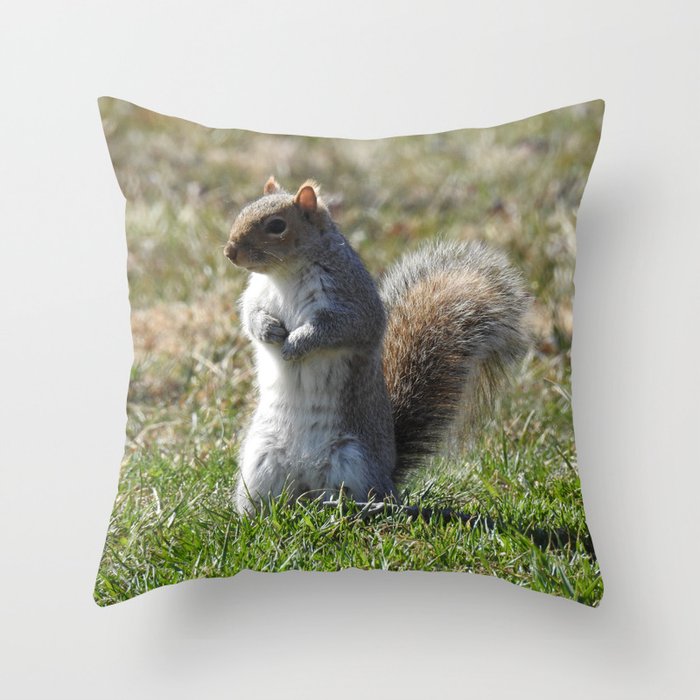 Wildlife photography, Eastern Gray Squirrel, nature Throw Pillow