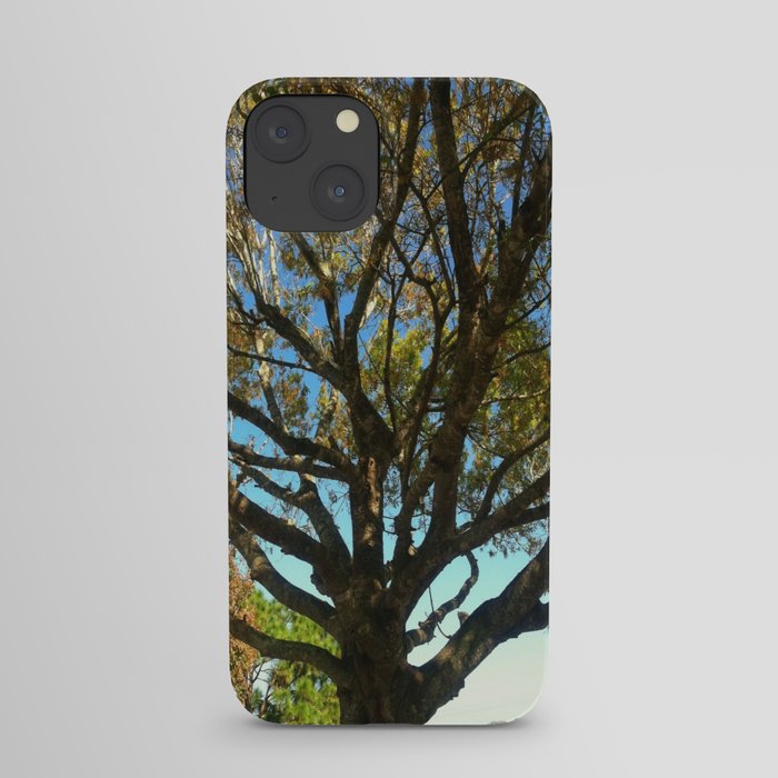 Sunset tree iPhone Case
