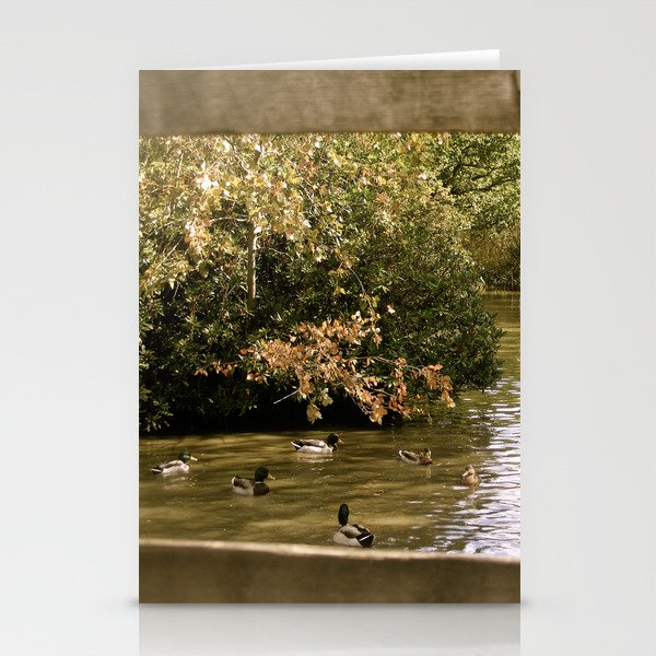 Duck Pond Stationery Cards