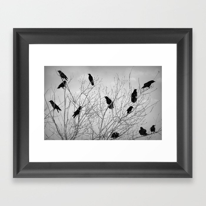 A Murder of Crows Framed Art Print