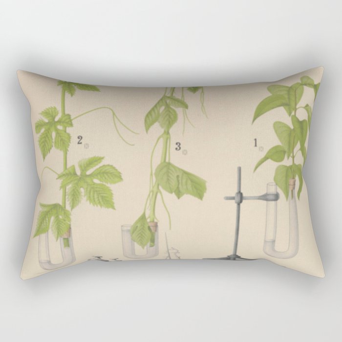 Antique Botany Rectangular Pillow