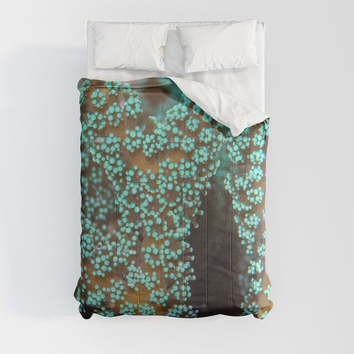 Turquoise-tipped coral Comforter