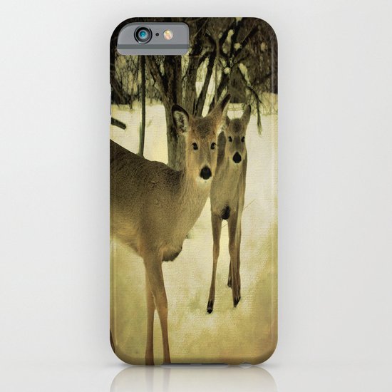 A Walk in the Woods iPhone & iPod Case