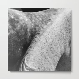 Horses Photography | White Mane Metal Print | Gray Horses, Horse Wall Art, Horses, Nature, Black And White, Minimalist Art, Abstract, Horses B W, Landscape, Animal 
