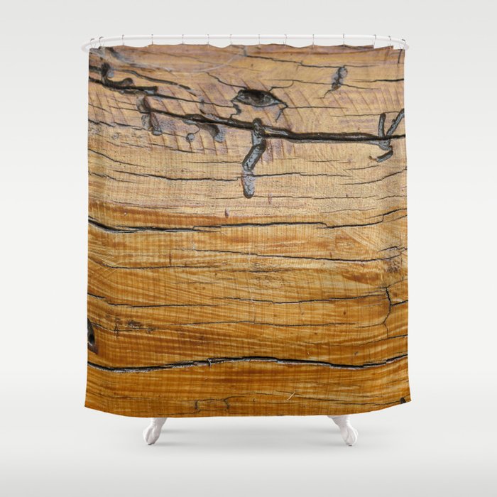 Natural wood background, wood slice and organic texture Shower Curtain
