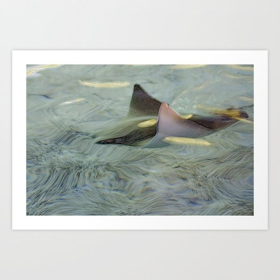 Long Days of Summer Art Print