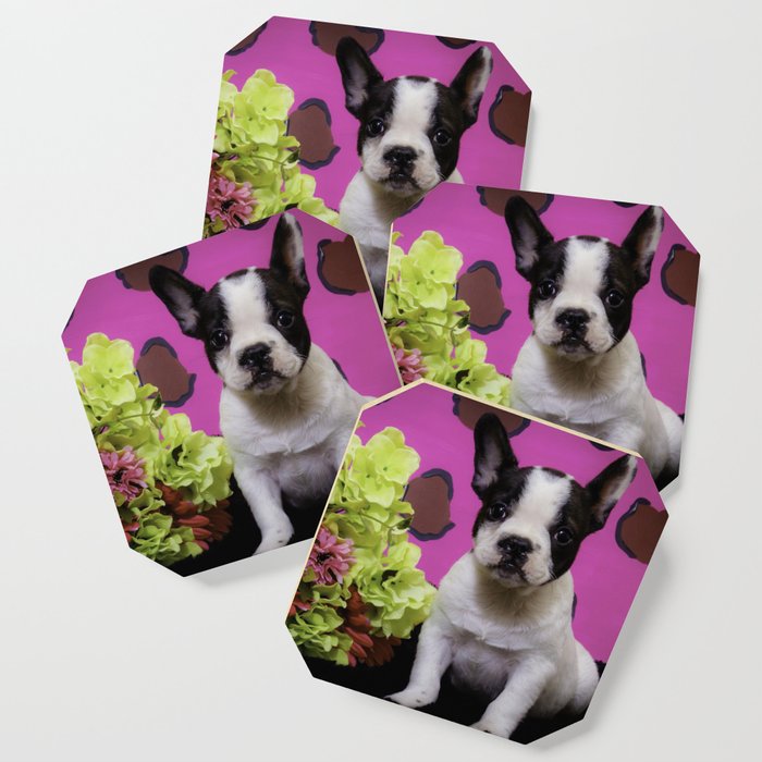 Get Wallpaper Black And White French Bulldog Puppy Sitting Next To A Spring Free HD