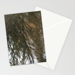 Pine Tree Close up - Nature's Beauty Captured - Dark Green botanical photograph Stationery Card