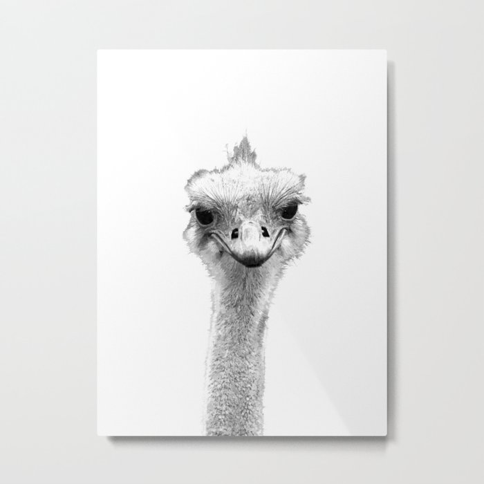 Black and White Ostrich Illustration Metal Print