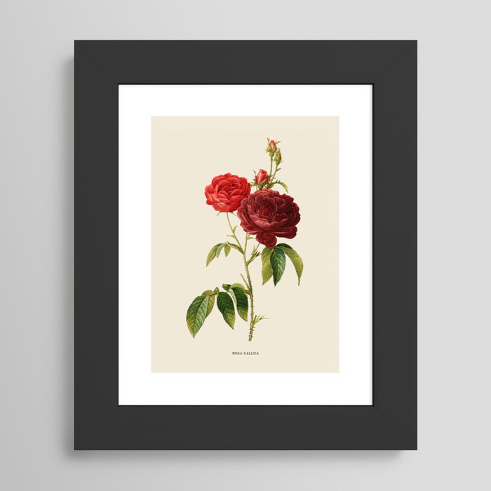 Framed Art Print