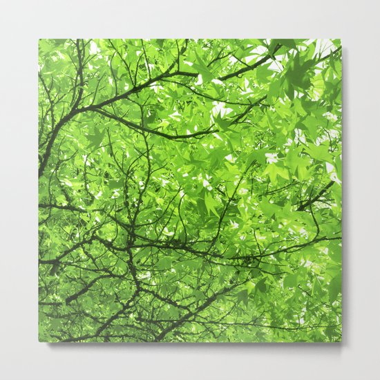 green spring tree II Metal Print