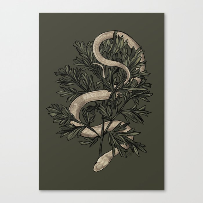 Le Serpent et l'Absinthe Canvas Print