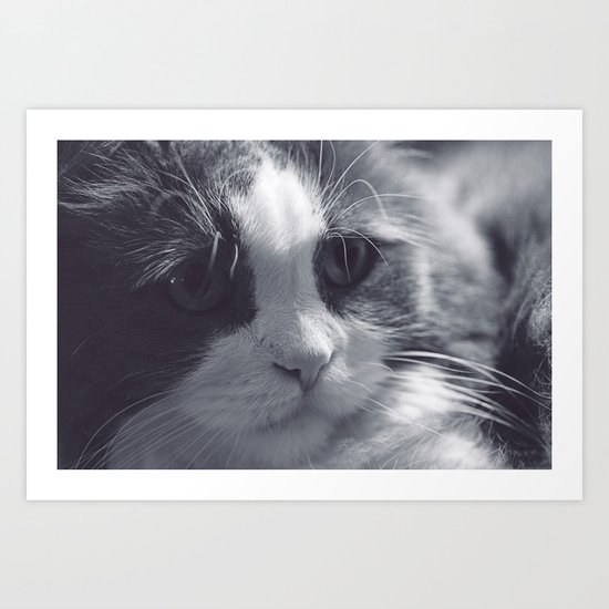 Cat love Art Print