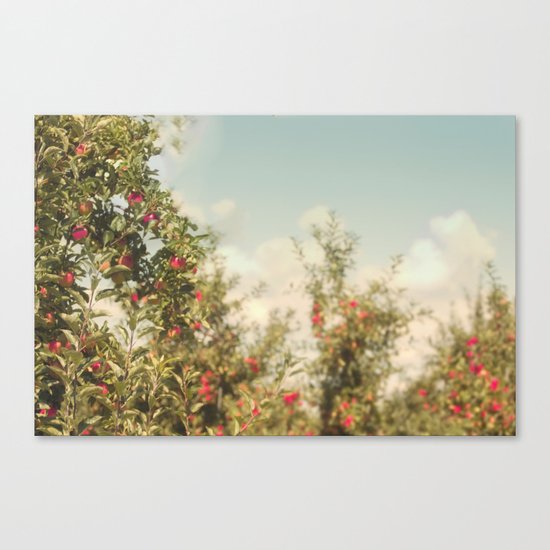 Orchard Blue Canvas Print