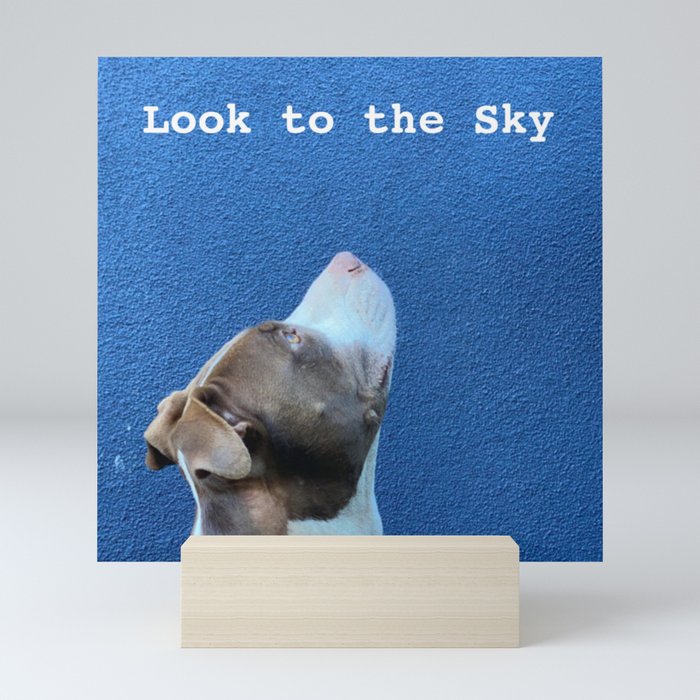 Look to the Sky Mini Art Print