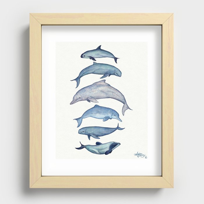 "Rare Cetaceans" by Amber Marine - Watercolor dolphins and porpoises - (Copyright 2017) Recessed Framed Print
