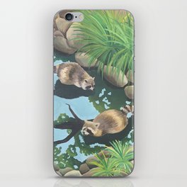 Raccoons in a Pond iPhone Skin