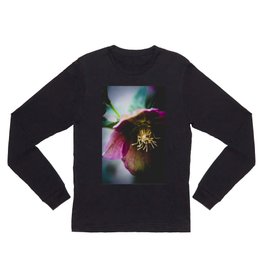 A winter flower Long Sleeve T Shirt | Winterblossoming, Flowerygarden, Floralimage, Purpleblossom, Purpleblooming, Photo, Macroflower, Winterflower, Purpleflower, Flower 