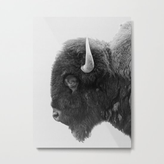 buffalo profile Metal Print
