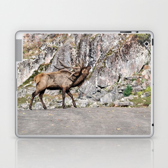 Wapiti Bugling: Bull Elk Laptop & iPad Skin