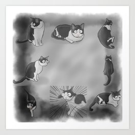 Black-White Cat Art Print