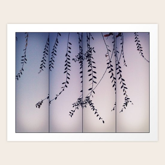 Vines Art Print